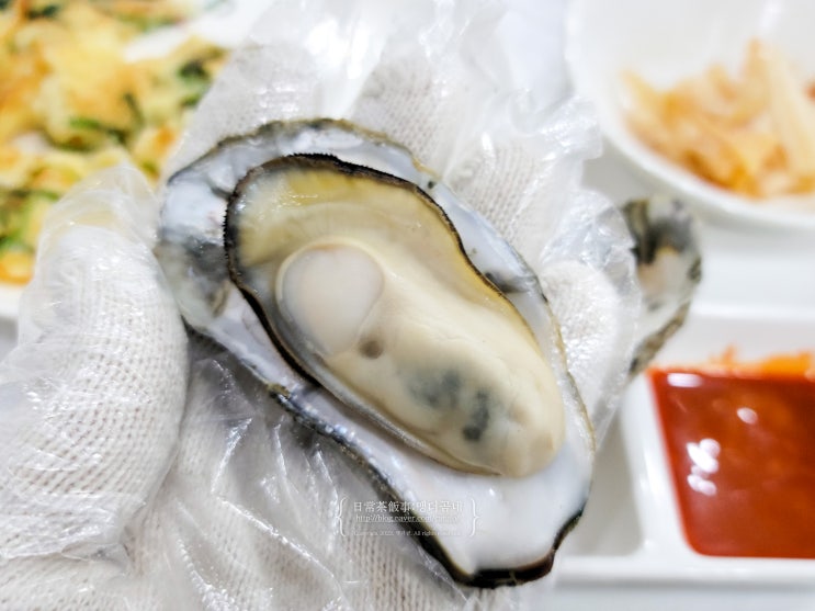  광주 북구 굴찜 무한리필 순돌이 활어직판장 계림점 계림동 두암동