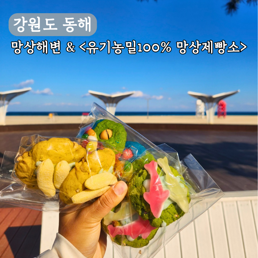 유기농밀100퍼센트 망상제빵소 사진 1