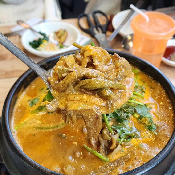  효천지구맛집 광주오리탕 집밥이 생각날때