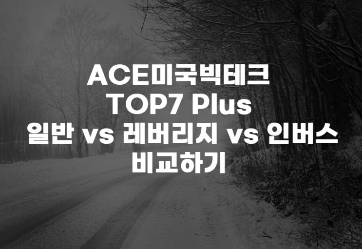  ACE 미국빅테크TOP7 Plus[465580] vs 레버리지(합성)[465610]vs 인버스(합성)[465620]: 어떤 차이점이?