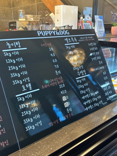 사진 6