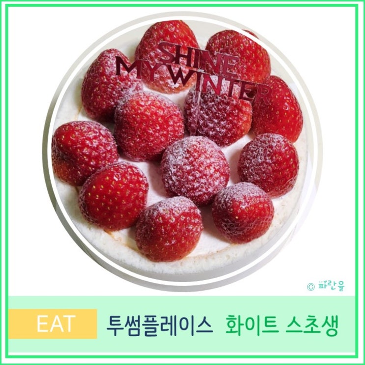  투썸플레이스 화초생 화이트 스초생 딸기케익 추천 홀케이크 솔직 후기 경북 성주점