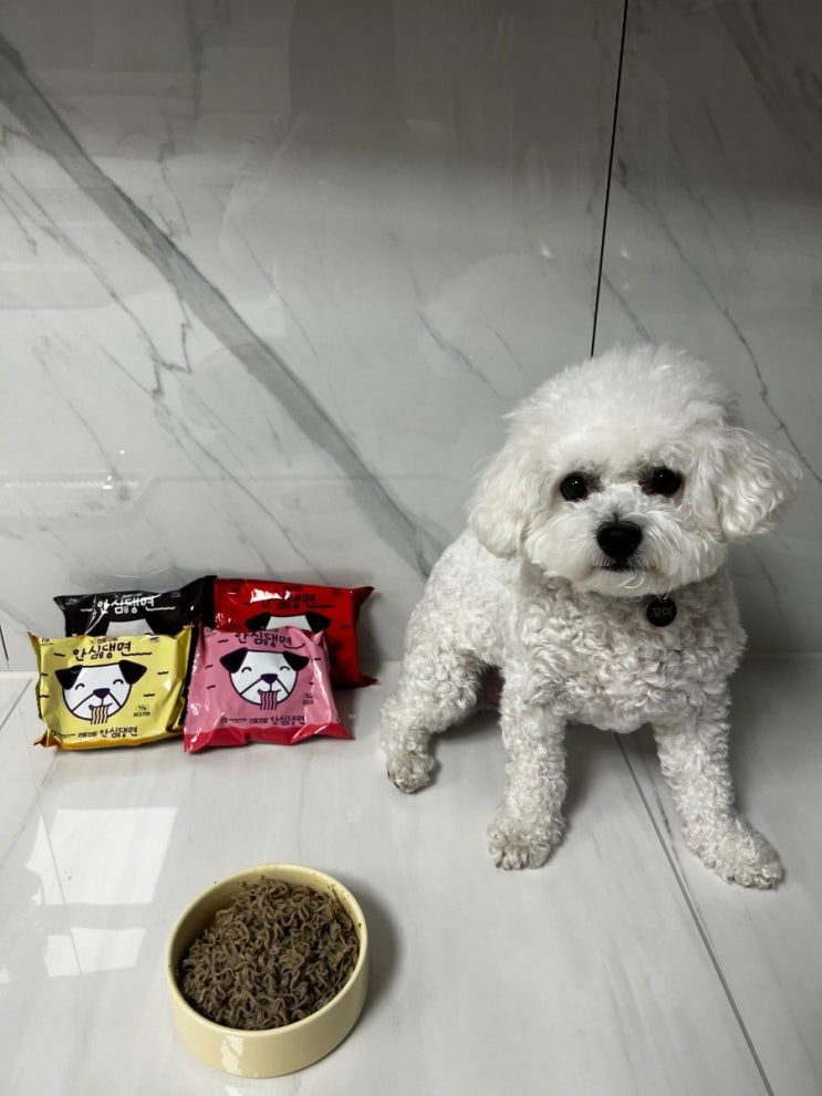 강아지라면특식 건면 국가대표 안심댕면 강아지간식 펫푸드x공구 강아지라면특식 건면 국가대표 안심댕면 강아지간식 펫푸드x공구