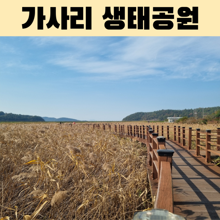  여수 가사리 생태공원 드라이브 데이트 코스