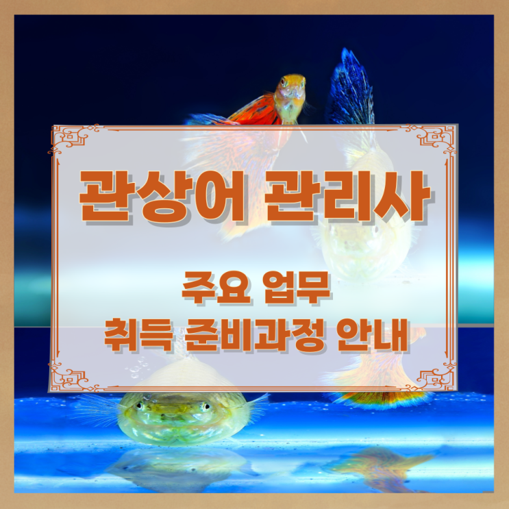 관상어 관리사 주요 업무와 취득 준비과정 안내 관상어 관리사 주요 업무와 취득 준비과정 안내