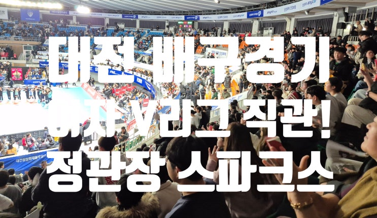  대전 배구경기 여자 V리그 정관장 스파크스 충무체육관 직관 후기!