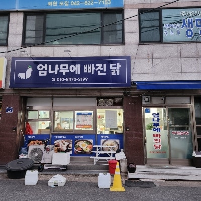 엄나무에 빠진 닭 사진 1