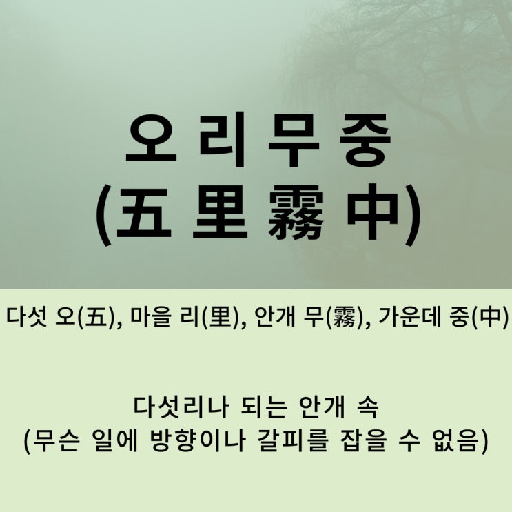  고사성어 뒤집어 보기 (56. 오리무중)