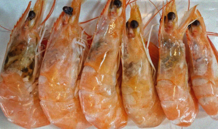 지금이 제철! 안 먹으면 후회하는<b>대천</b>맛집 <b>원조삼선조개구이</b>