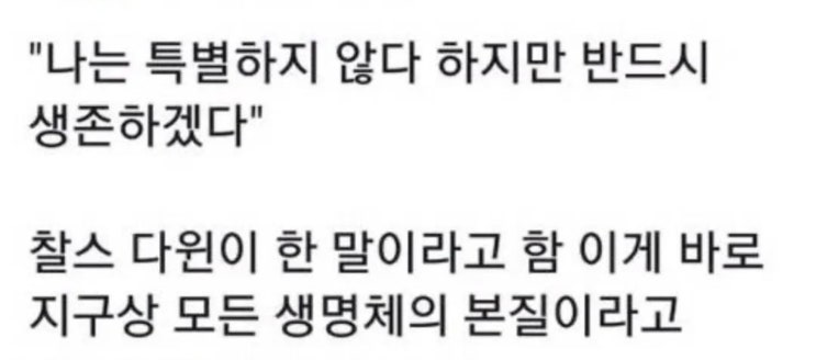  나는 특별하지 않다. 하지만 반드시 생존하겠다