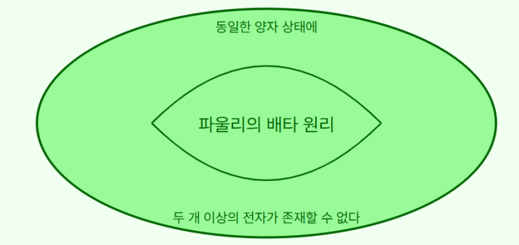 볼프강 파울리 (Wolfgang Pauli)의 배타원리