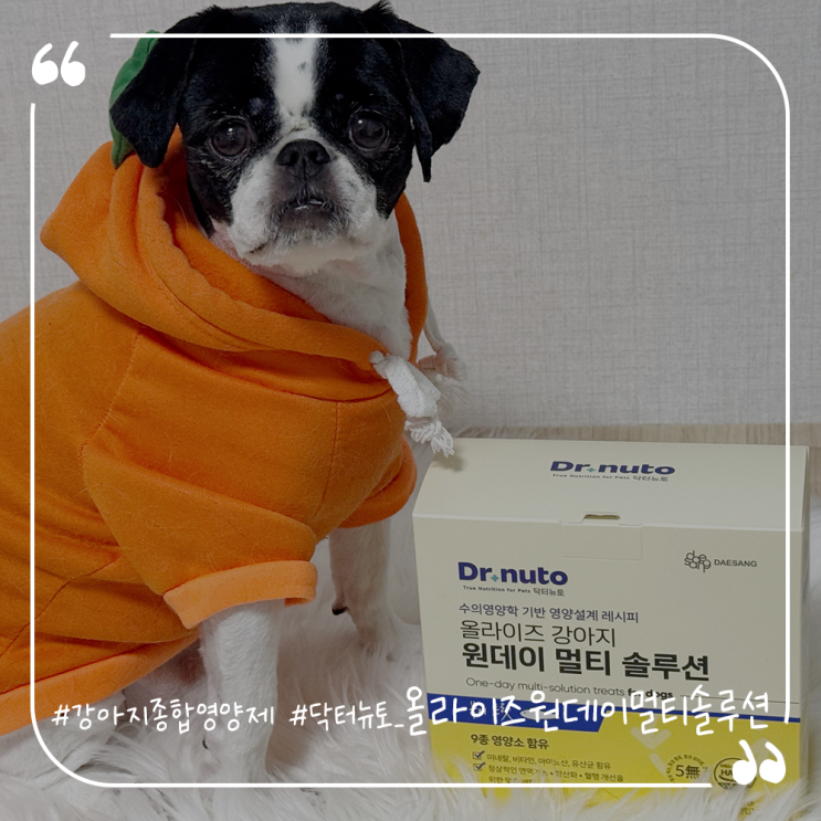  강아지종합영양제추천 강아지영양간식 닥터뉴토 올라이즈원데이멀티솔루션