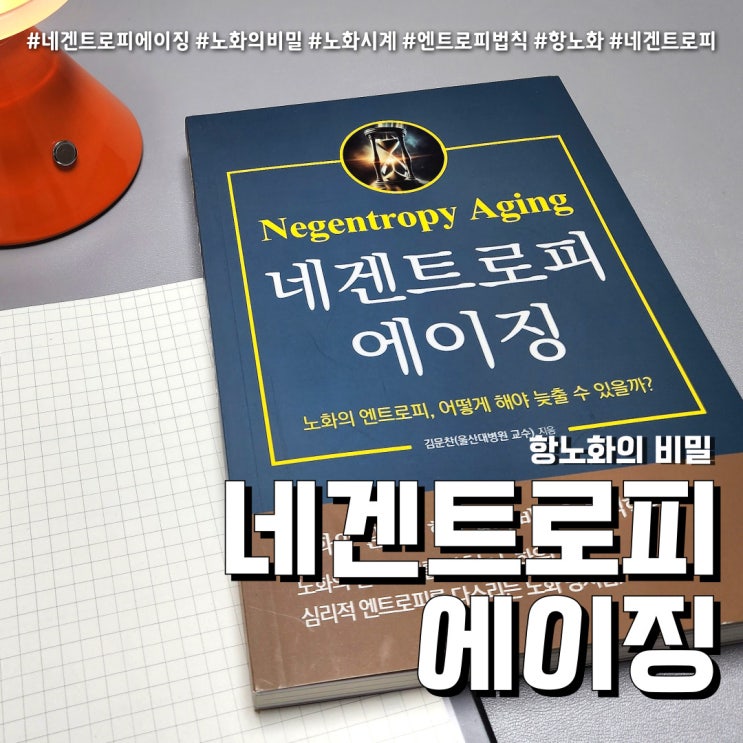  노화의비밀 네겐트로피에이징 (feat. 노화시계를 멈추는 방법 )
