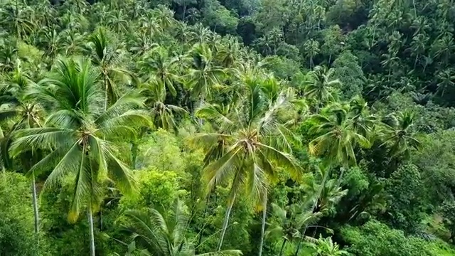  부산 중구 동광동,보수동,부평동 청년배관 현명한 대처법