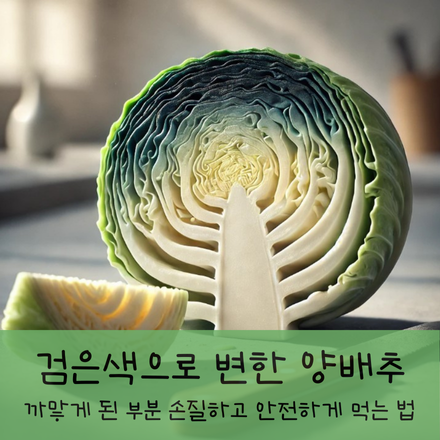 검은색으로 변한 양배추, 까맣게 된 부분 손질하고 안전하게 먹는 법