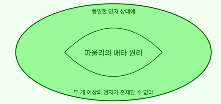 볼프강 파울리 (Wolfgang Pauli)의 배타 원리 볼프강 파울리 (Wolfgang Pauli)의 배타 원리