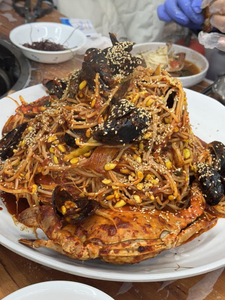 [신호등회관, 꽃게선장낙지박사] 진도쏠비치 지인 추천 맛집, 꽃게탕 최고..