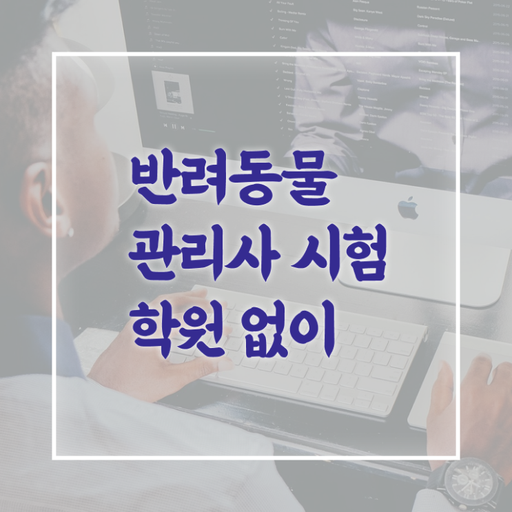  반려동물 생활관리사 , 반려동물관리사 자격증 쉽고 빠르게 취득한 과정 전격분석