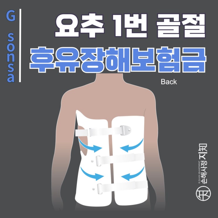  [양평 손해사정사 상담] 요추1번골절, 빙판길에서 엉덩방아 찧는 사고로 후유장해 많이 발생해요 - [엄마의 질병, 1부]