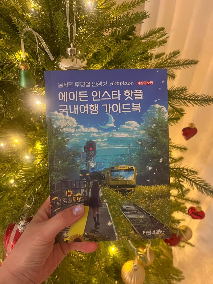  SNS 속 그장소 어디? 인스타그램 포토스팟 대공개!! 에이든 인스타 핫플 국내여행 가이드북