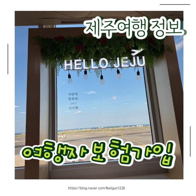  아이랑 제주여행 대한항공 여행자보험 가입하기