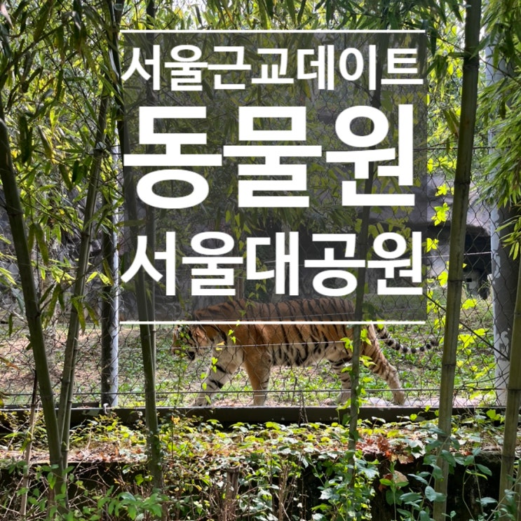  [여행]서울근교 데이트 서울대공원 동물원 방문 후기 (이용시간, 주차, 코끼리열차)