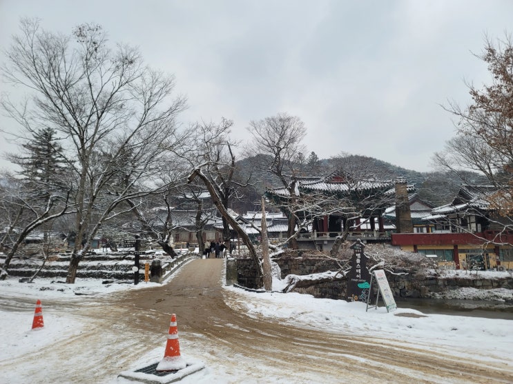  [공주 절] 마곡사 갔다 오기!