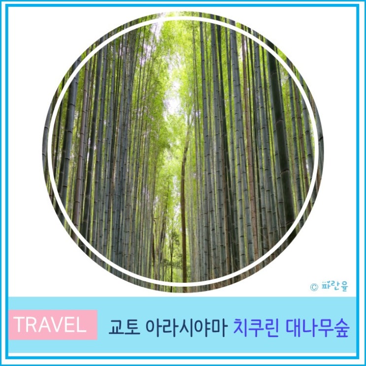  교토 여행 산책하기 좋은 곳 아라시야마 치쿠린 대나무 숲 기찻길