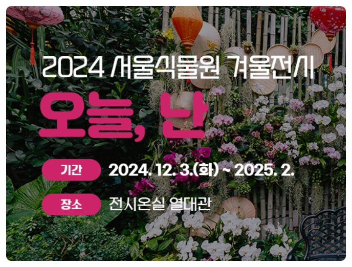  서울 크리스마스 갈만한 곳, 마곡 서울식물원 윈터 페스티벌 정보 이모저모