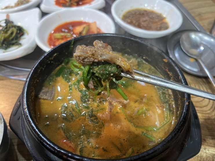  [예술회관역맛집] 잡내 없는 흑염소 맛집 녹색흑염소 인천본점