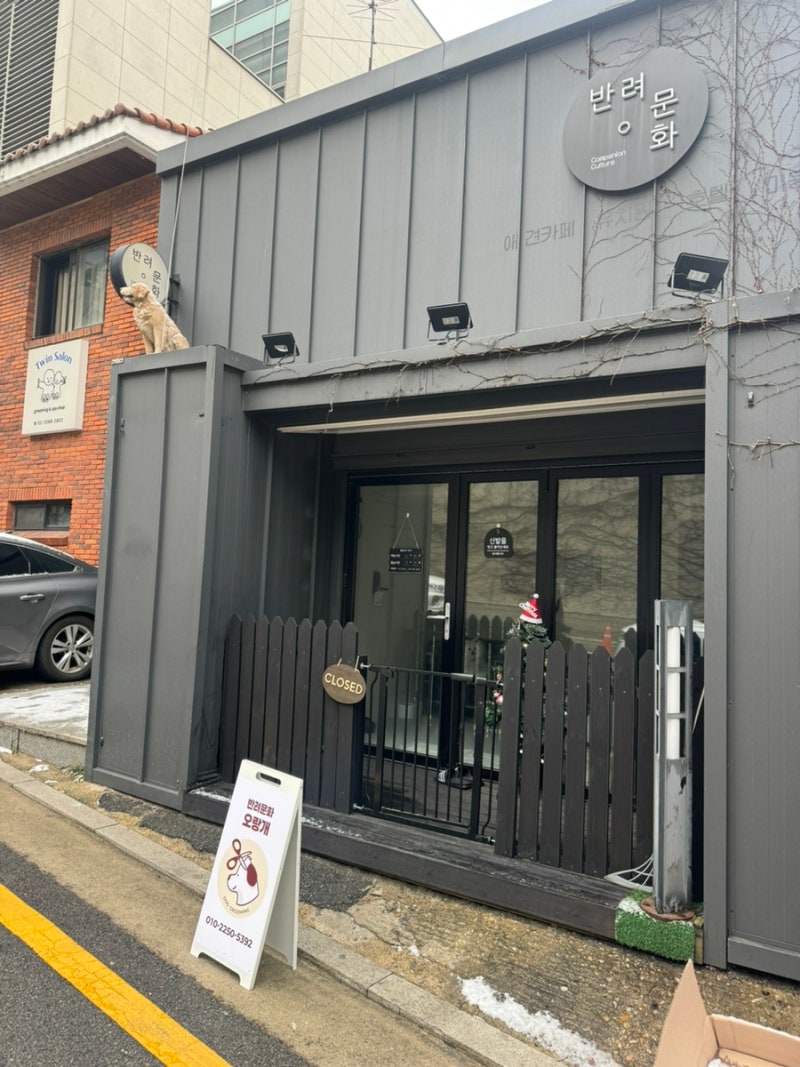 사진 5