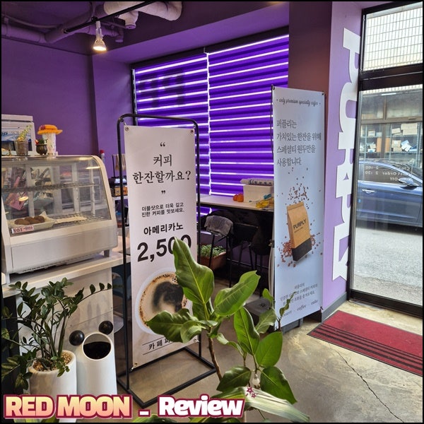 퍼플리 사진 6