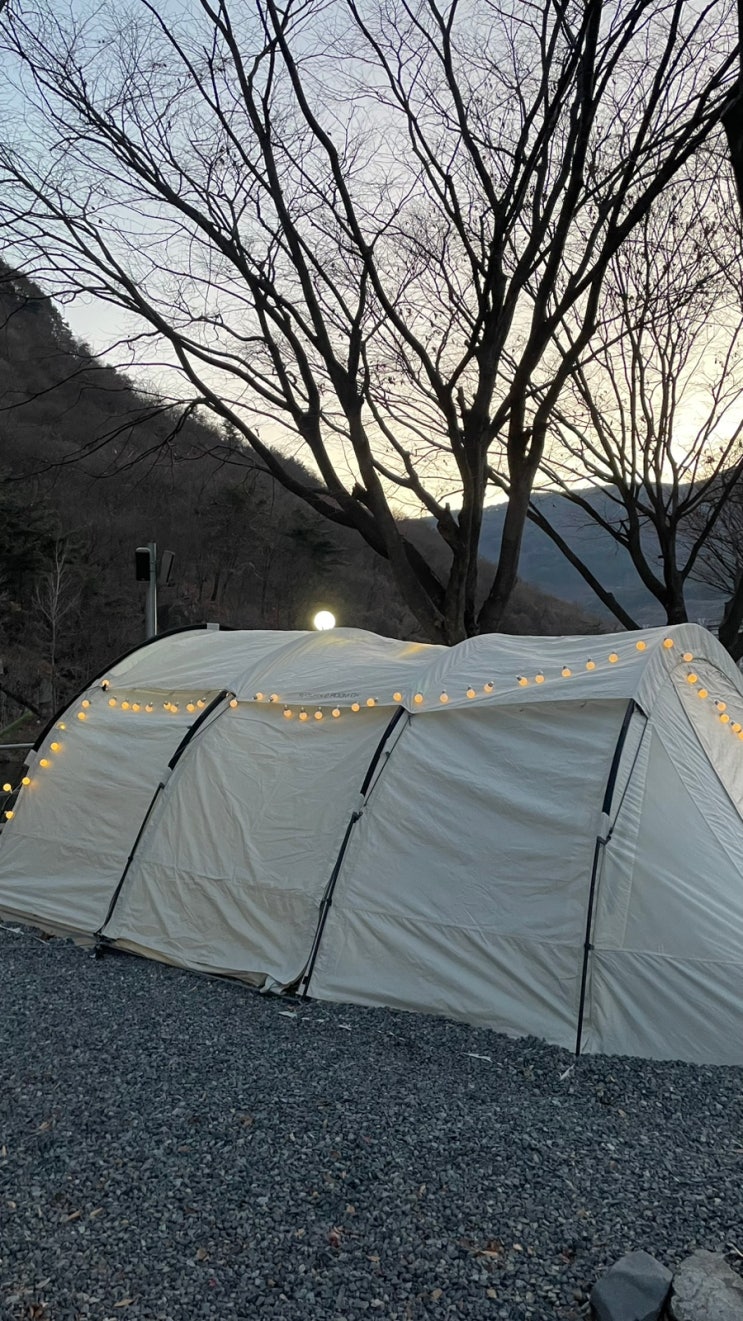  [밀양 알프스/ A8사이트]동계캠핑, 낭만과 개고생 그 어디쯤 “크리스마스캠핑”