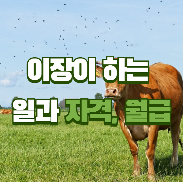 이장이 하는 일과 자격 월급 총정리