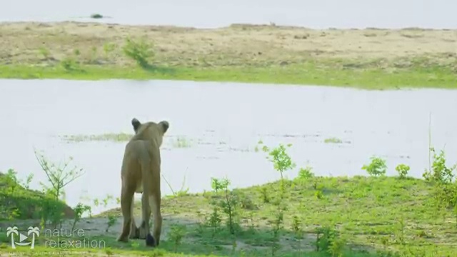  바리스타자격증필기 , 바리스타 자격증 독학으로 취득한 노하우 알아볼게요
