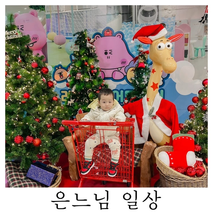  [은느님 일상]겨울 분위기 물씬 나는 하루들