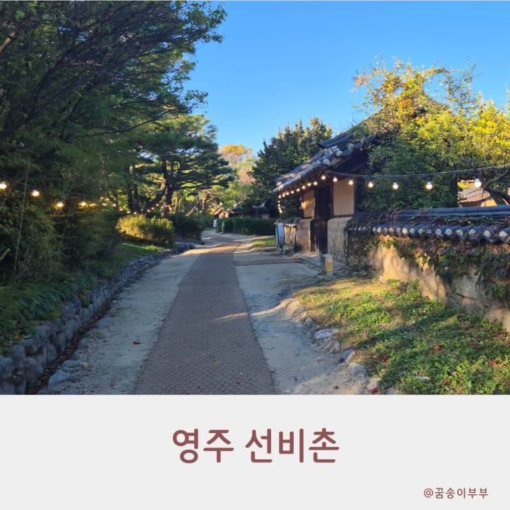 선비촌 영주 갈만한 곳 선비의 하루 체험해 보기