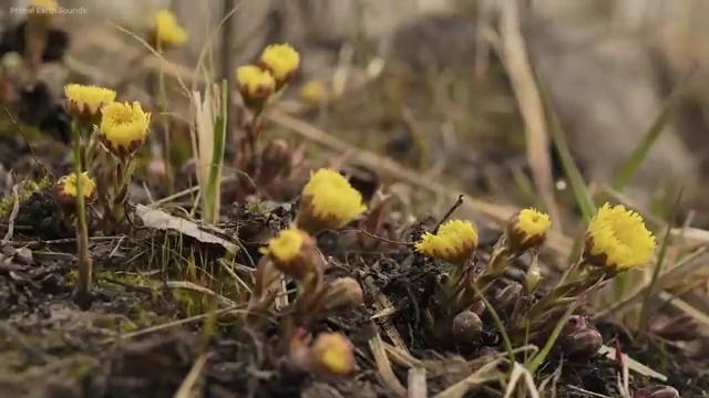  부산 부동산 규제지역 , 부동산자산관리전문가 부동산자산관리사자격증 2주 만에 취득한 노하우 요점정리