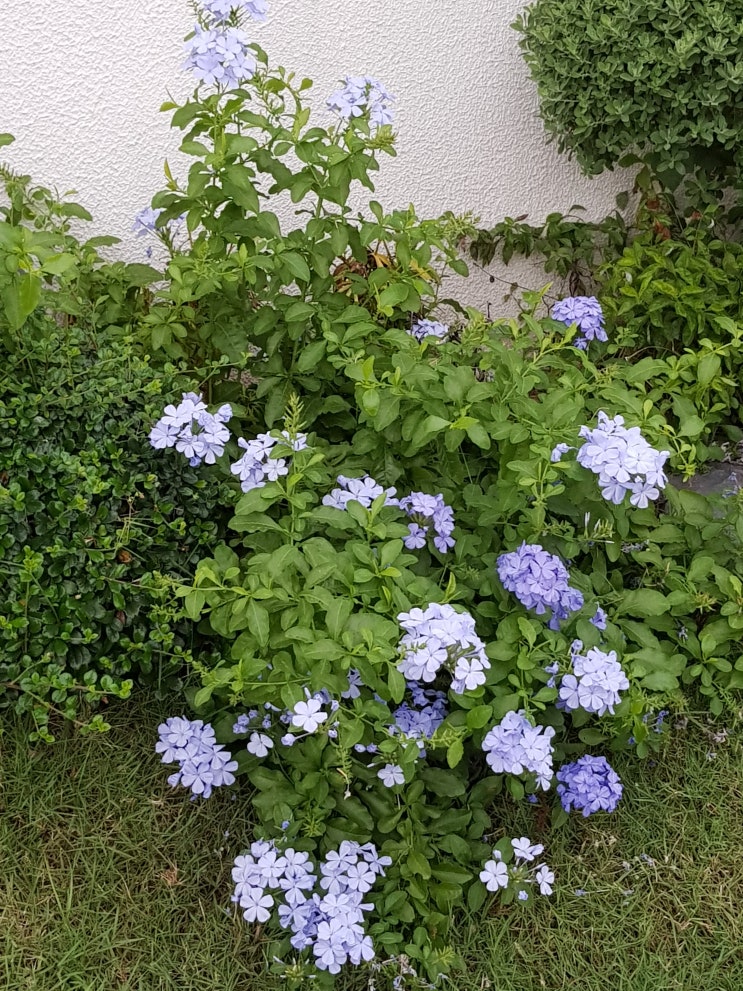 <b>우크라</b> <b>북한군</b> 3000명 쿠르스크서 야간 훈련 중 곧... 