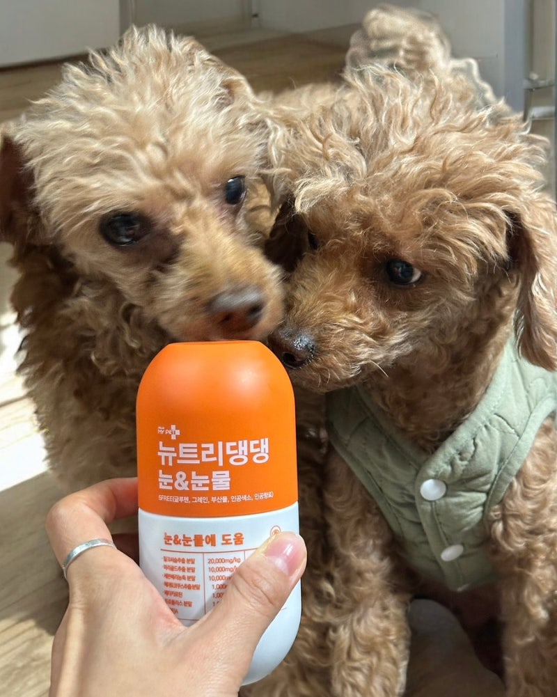 뉴트리댕댕 강아지눈물영양제 : 강아지 눈 건강 알레르기 걱정 없는 뉴트리댕댕으로 챙기기