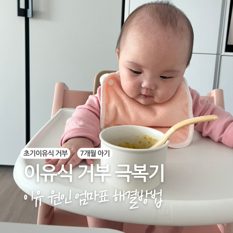 이유식 거부 극복기 이유 식단 해결방법 초기 6개월 7개월 : 네이버 블로그