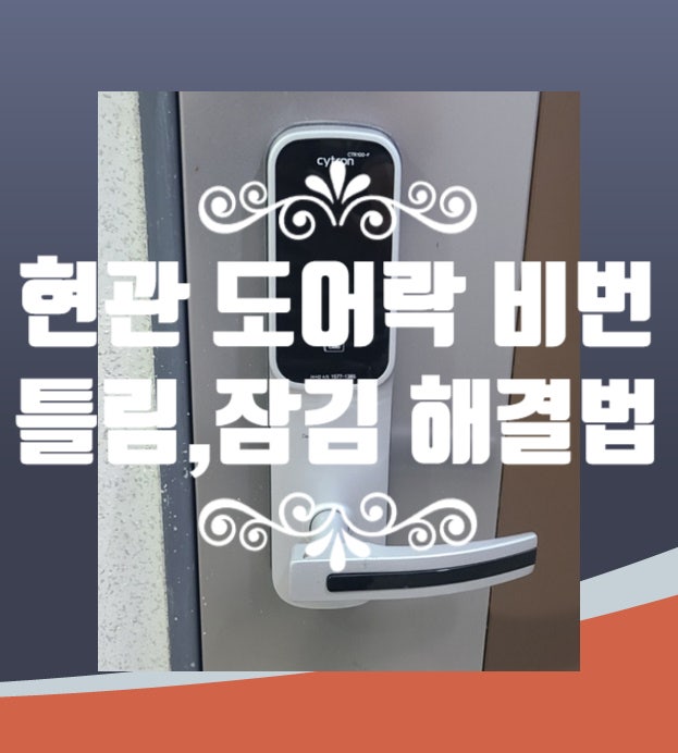  일산 백석동열쇠 현관문 도어락 비밀번호 틀림 잠김 파손 없는 해법