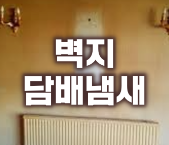  벽지 담배 냄새 제거 간단한 방법 으로