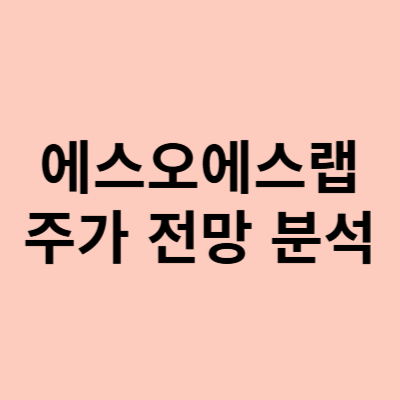  에스오에스랩 주가, 테슬라 로보택시 관련주 전망은?