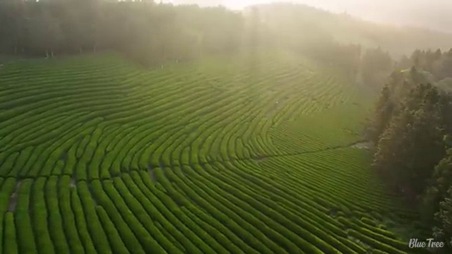  독서교육 지도사 , 독서지도사 자격증 취득한 방법 핵심 정보 정리