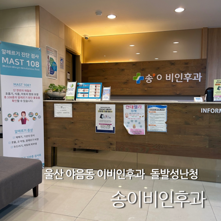  울산 야음동 송이비인후과 돌발성난청 후기
