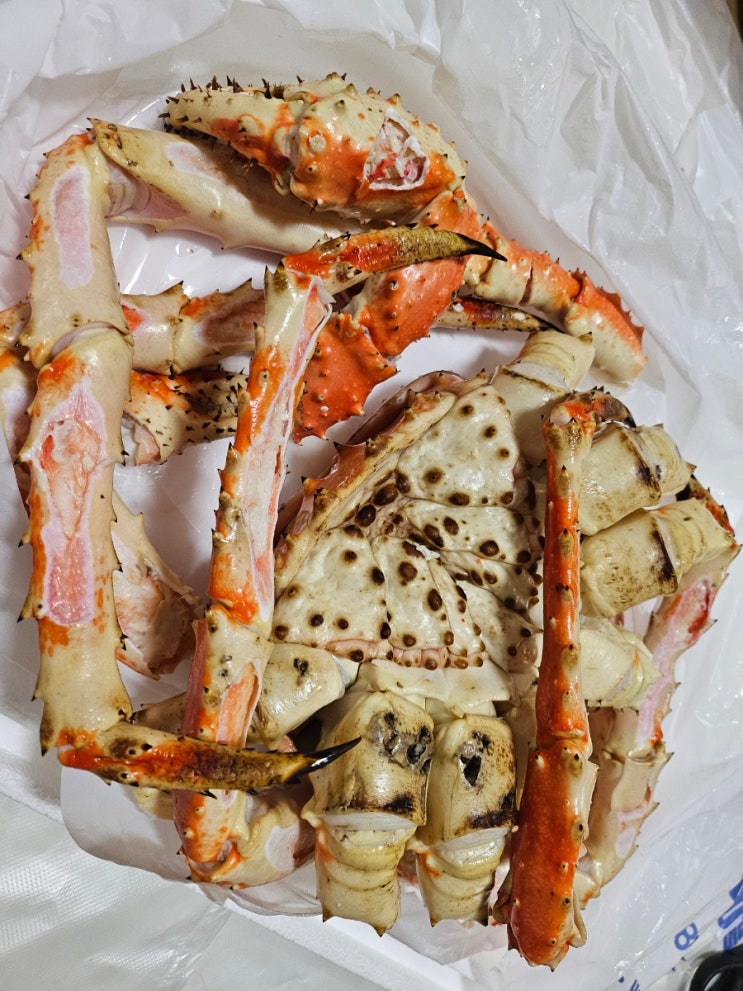  천안 킹크랩 맛집 충남수산활어도매시장