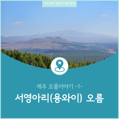  제주도 서쪽 숨은 명소 서영아리 오름 신비로운 습지와 영험한 기운이 흐르는 트레킹 이색 핫플