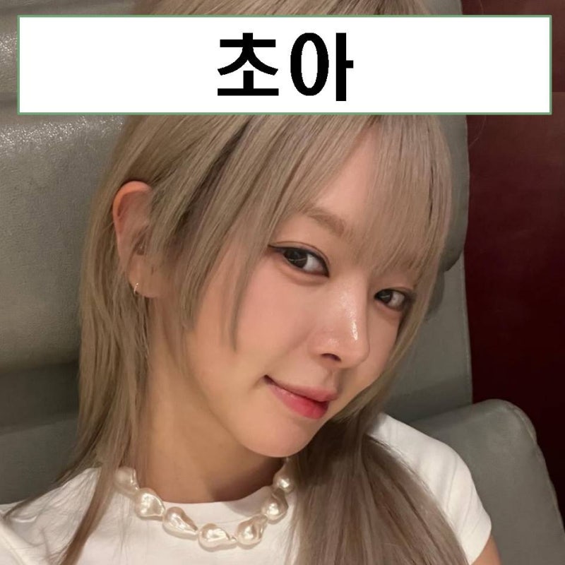 초아 AOA 박초아 프로필 나이 키 MBTI 근황 탈퇴 결혼 불화
