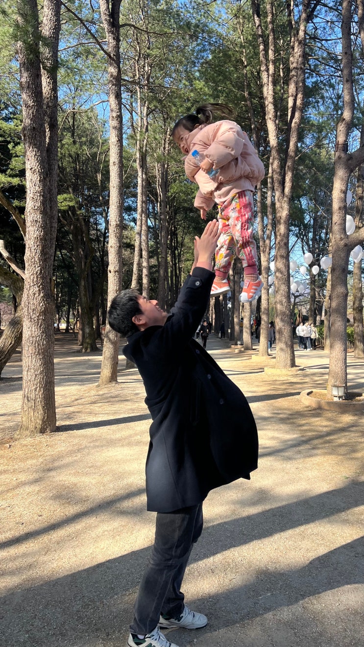  아이랑 남이섬 겨울 가족여행 나들이 당일치기 여행